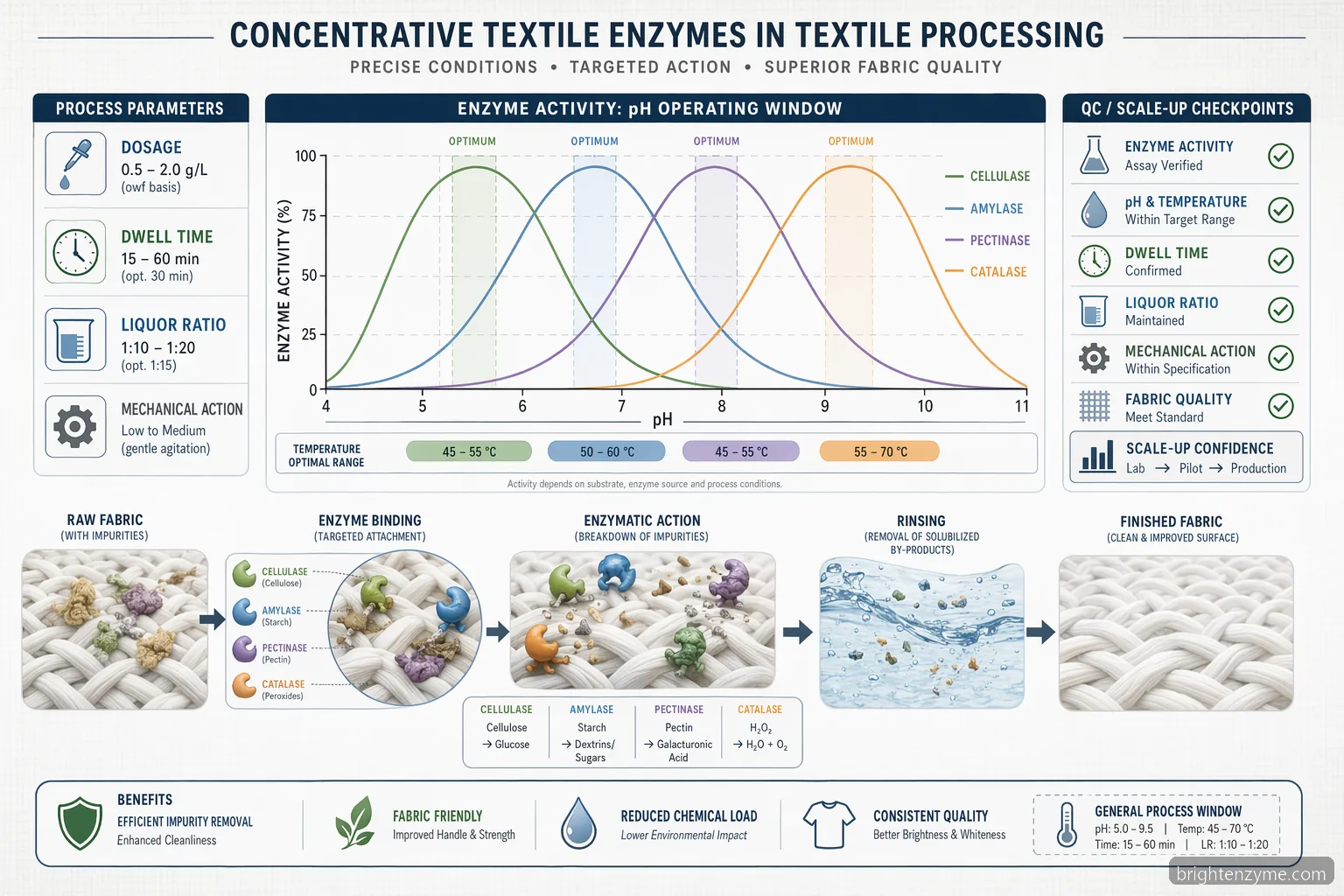 Concentrative textile enzymes for reliable textile processing, mapping enzyme activity across pH, heat and dwell time.